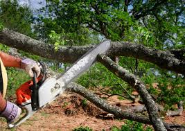 Leaf Removal in Solvay, NY