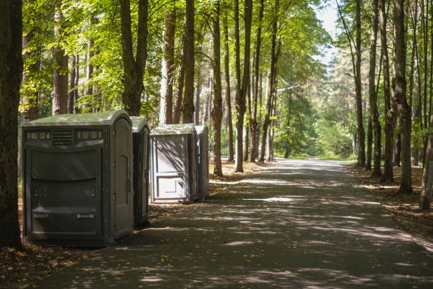 How Our Tree Care Process Works  in  Solvay, NY